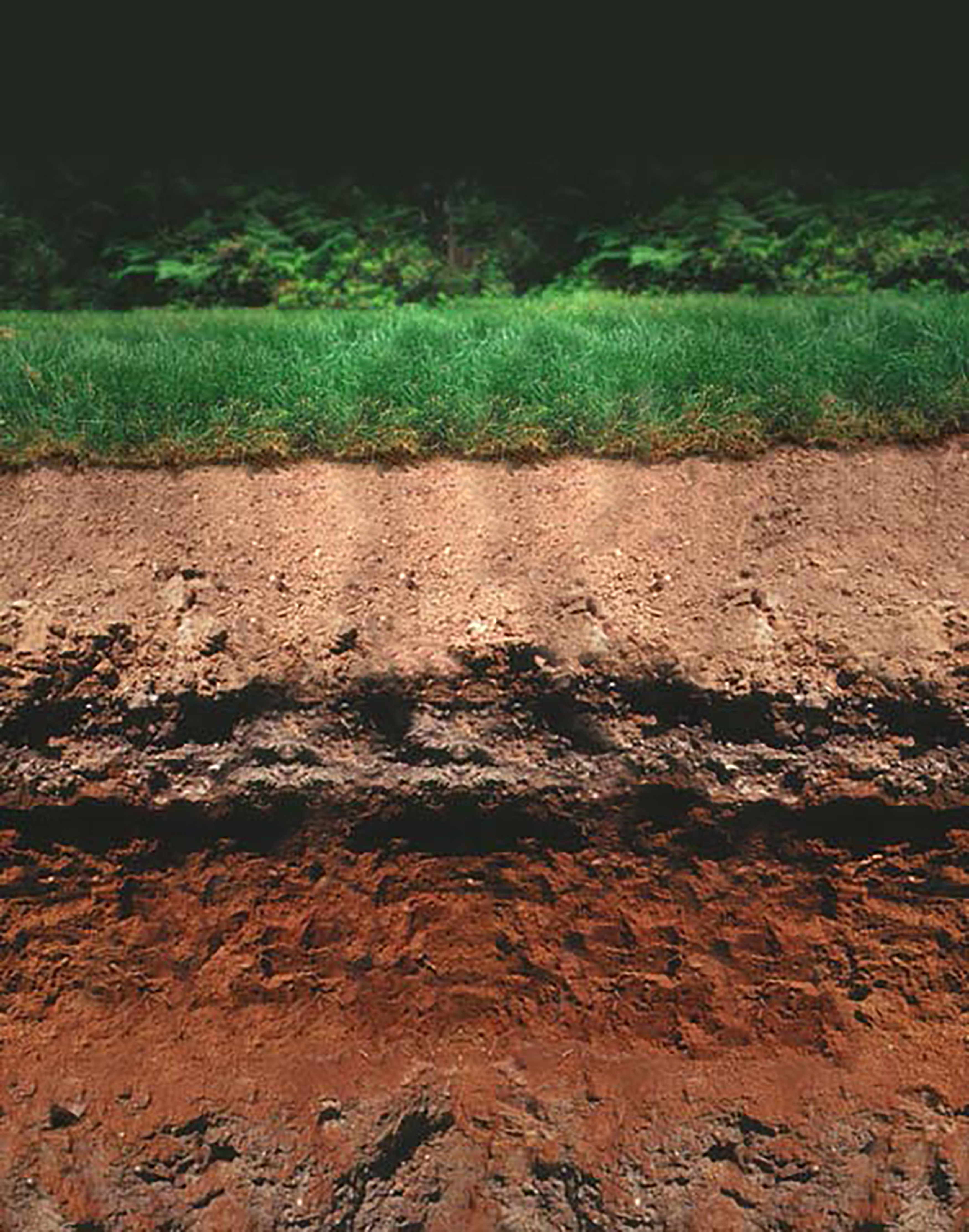 Soil Layers