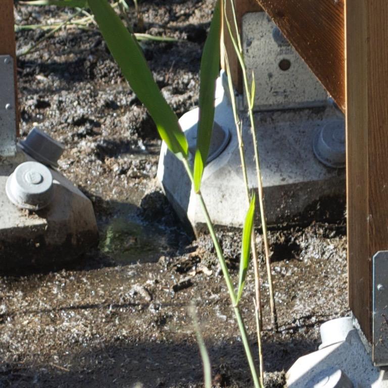 Diamond Pier Commercial Boardwalk Footings